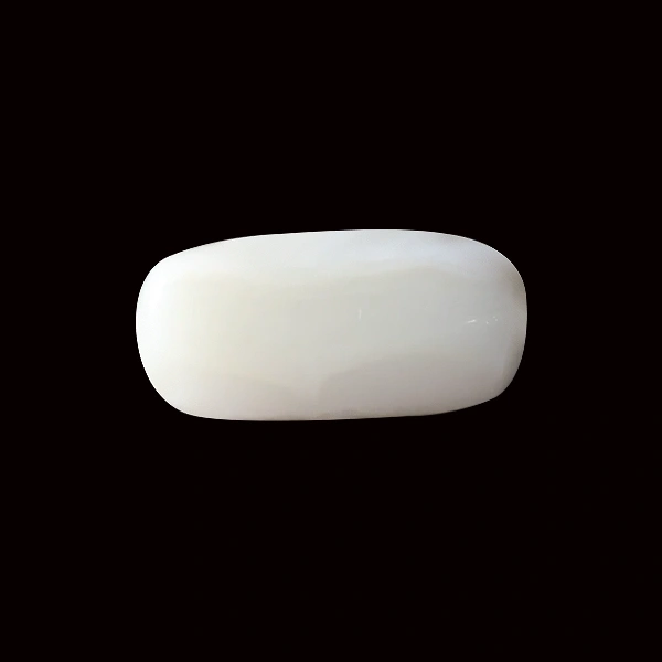 White Coral - 3.83 carats